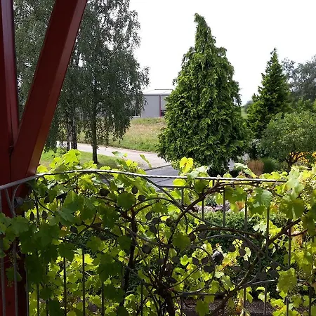 Tibo